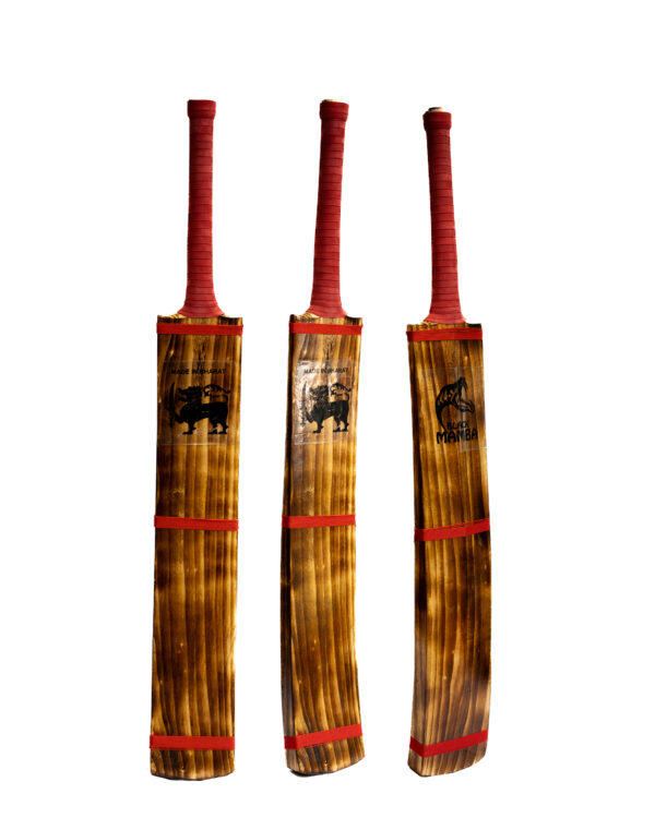 Black Mamba Tennis Bat