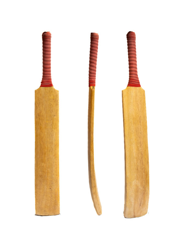 Srilankan Scoop Varnished Bat